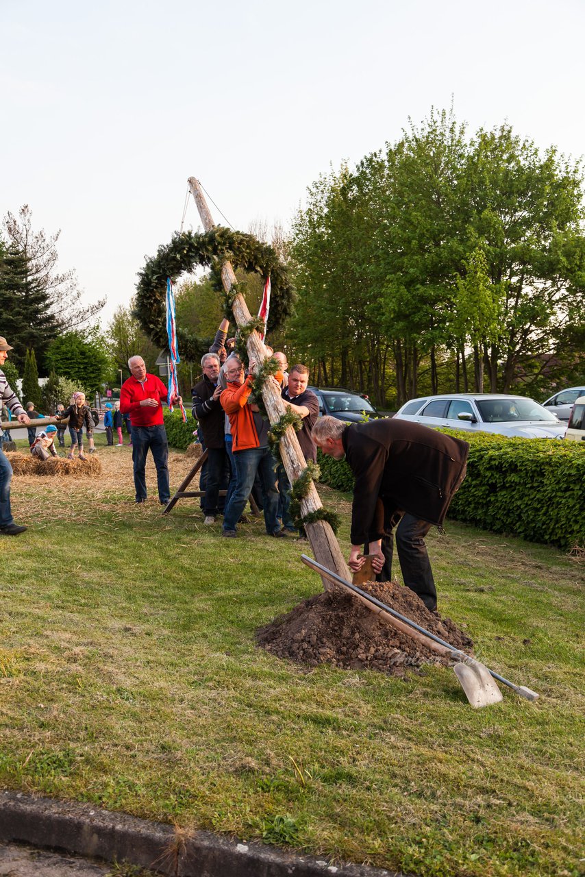 Bild 136 - Wiemersdorfer Maibaum